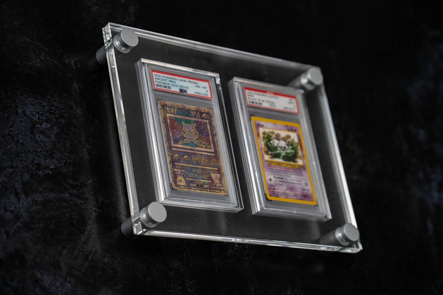 Double Graded Card Display - 2x1